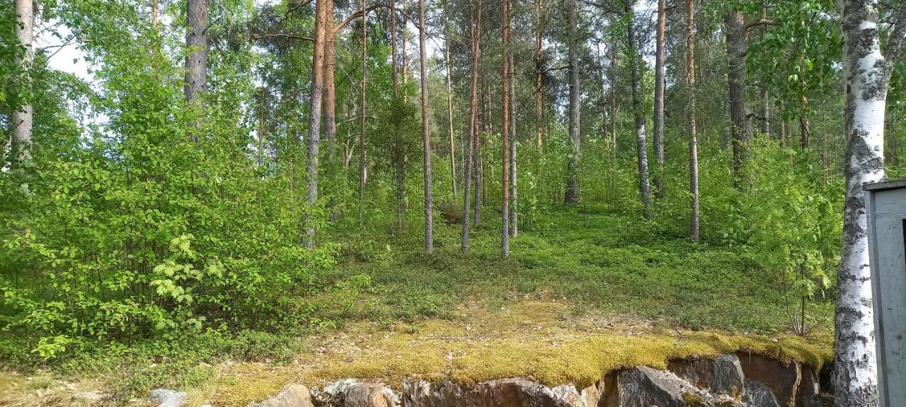 Saimaan Kodikas Appartement Savonlinna Buitenkant foto